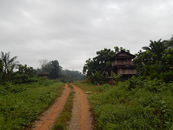 в папуа новой гвинее